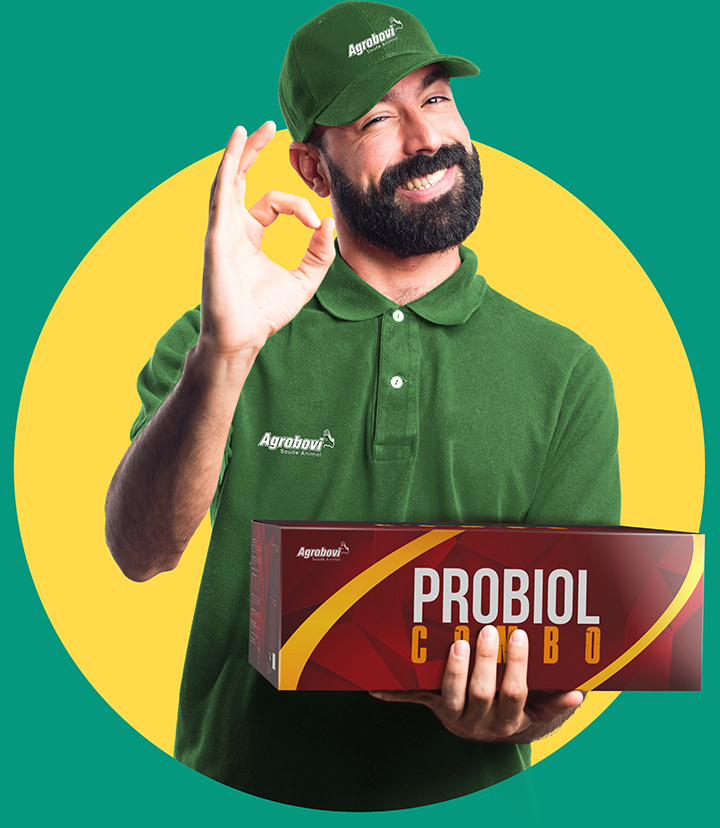 empreendedor agrobovi empreendedor agrobovi